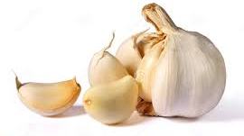 Split head of Garlic